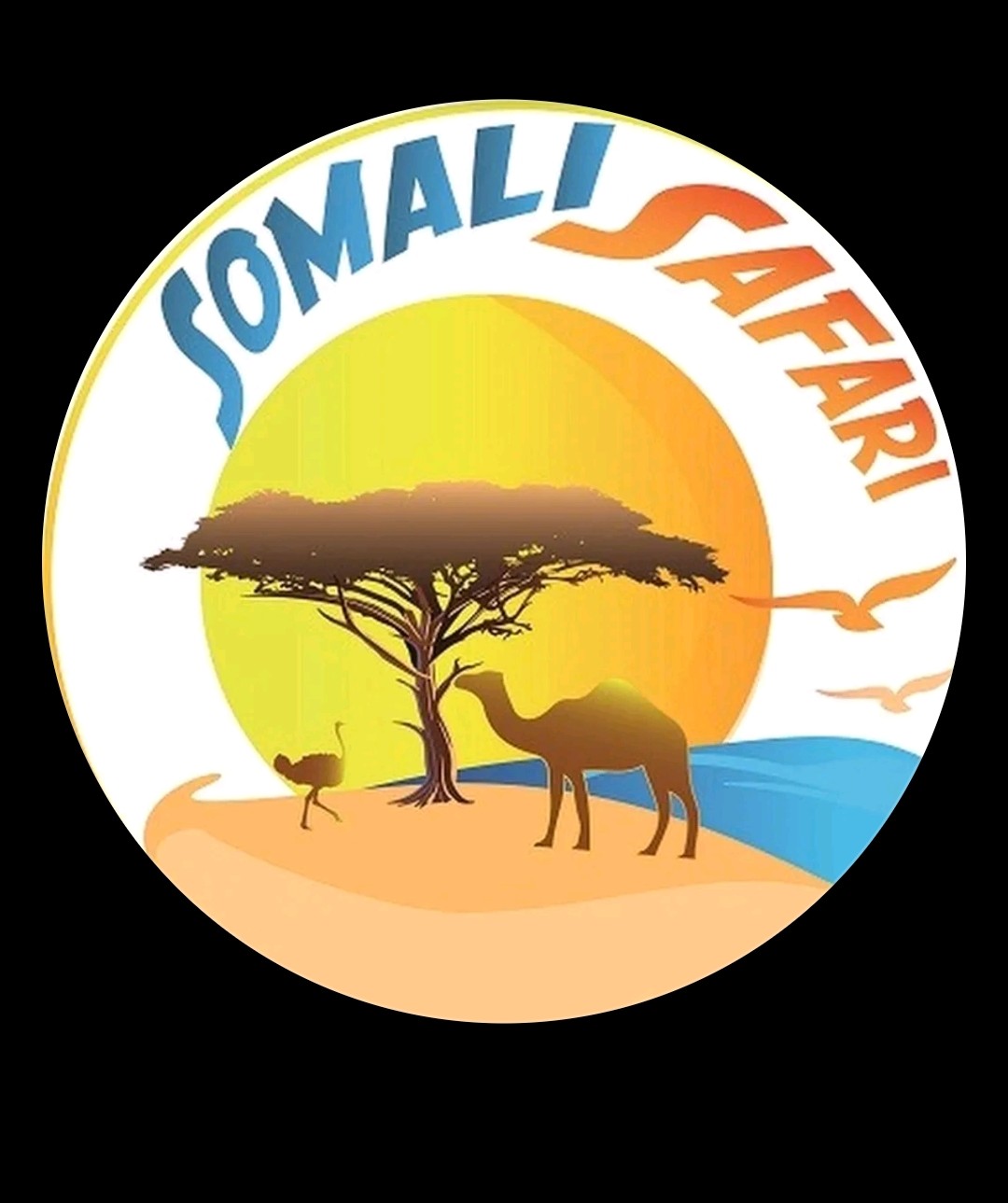 Somali Safari Tours logo